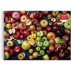 Galison Balkabağı Puzzle