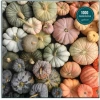 Galison Heirloom Balkabağı Puzzle