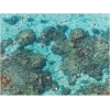 Galison Hawaii Plajı Puzzle
