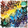 Galison Gökkuşağı Kelebekleri Puzzle