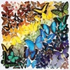 Galison Gökkuşağı Kelebekleri Puzzle