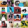 Galison Köpek Momo Puzzle