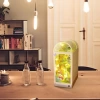 GuDoQi DIY Oyuncak Ev Ahşap Kitaplık Aksesuarı Ateş Böceği Ormanı
