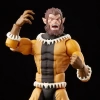 Hasbro Marvel Legends Fang İmparatorluk Muhafızı Figür