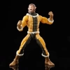 Hasbro Marvel Legends Fang İmparatorluk Muhafızı Figür