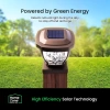 Home Zone Security Dış Mekan Solar Direk Başlığı Işıkları - Kahverengi