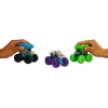 Hot Wheels Monster Trucks Renk Gösterimi 2li Paket Single Pack
