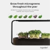 Ingarden Organik Süper Tohum Yetiştirme Kiti Otomatik 4 Kademe Led - Siyah