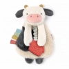 Itzy Ritzy Diş Kaşıyıcı