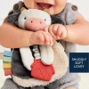 Itzy Ritzy Diş Kaşıyıcı