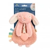 Itzy Ritzy Diş Kaşıyıcı