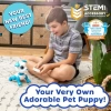Kızlar İçin Eğlenceli Uzaktan Kumandalı Oyuncak Puppy Blue