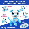 Kızlar İçin Eğlenceli Uzaktan Kumandalı Oyuncak Puppy Blue