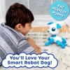 Kızlar İçin Eğlenceli Uzaktan Kumandalı Oyuncak Puppy Blue
