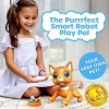 Kızlar İçin Eğlenceli Uzaktan Kumandalı Oyuncak Tabby Orange Cat