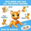 Kızlar İçin Eğlenceli Uzaktan Kumandalı Oyuncak Tabby Orange Cat