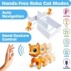 Kızlar İçin Eğlenceli Uzaktan Kumandalı Oyuncak Tabby Orange Cat