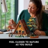 LEGO Ideas A-Frame Kabin Koleksiyonluk Sergi Seti 21338