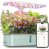 LetPot LPH-Air Hidroponik Yetiştirme Sistemi Kitleri, 10 Kapsül - App ve WiFi - Yeşil
