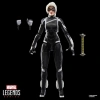 Marvel Legends Serisi Gamerverse Kara Kedi Felicia Hardy Figürü