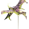 McFarlane - Avatar: The Way of Water Figürleri