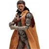 McFarlane - Dune 2- Chani Action Figürü