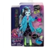 Monster High Creepover Parti Bebeği Multicolor