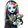 Monster High - Siyah Ceketli Frankie Stein HXH73