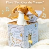 Nutbrown Hare Jack-in-The-Box - Bebekler için Müzikli Oyuncak Toy Figure