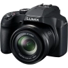 Panasonic LUMIX FZ80 4K Dijital Fotoğraf Makinesi FZ80D: USB-C & OLED EVF