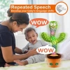 Pboo Dans Eden Kaktüs Oyuncak cactus baby toy