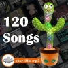 Pboo Dans Eden Kaktüs Oyuncak cactus baby toy