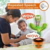Pboo Dans Eden Kaktüs Oyuncak talking cactus-Gift box packaging