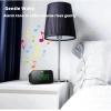 PHILIPS Yatak Odası için Dijital Çalar Saat Radyo FM Radyo