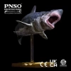 PNSO Deniz Müzesi-Jeff The KRONOSAURUS
