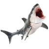 PNSO Deniz Müzesi-Jeff The KRONOSAURUS