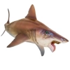 PNSO Deniz Müzesi-Jeff The KRONOSAURUS 43 Haylee The Helicoprion