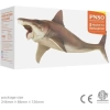 PNSO Deniz Müzesi-Jeff The KRONOSAURUS 43 Haylee The Helicoprion