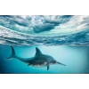 PNSO Deniz Müzesi-Jeff The KRONOSAURUS