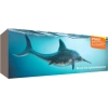 PNSO Deniz Müzesi-Jeff The KRONOSAURUS