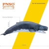 PNSO Deniz Müzesi-Jeff The KRONOSAURUS 56Requena The Livyatan