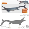 PNSO Deniz Müzesi-Jeff The KRONOSAURUS 57Evan The Tylosaurus