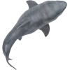 PNSO Deniz Müzesi-Jeff The KRONOSAURUS