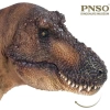 PNSO Dinozor Müzeleri Serisi-XiaoQin Andrea The Tyrannosaurus REX 1:35 Scientific Art Model