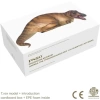 PNSO Dinozor Müzeleri Serisi-XiaoQin Andrea The Tyrannosaurus REX 1:35 Scientific Art Model