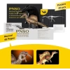 PNSO Dinozor Müzeleri Serisi-XiaoQin AYMEN The Spinosaurus 1:35 Scientific Art Model