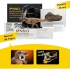 PNSO Dinozor Müzeleri Serisi-XiaoQin Cameron The Tyrannosaurus rex 1:35 Scietific Art Model