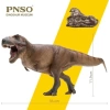 PNSO Dinozor Müzeleri Serisi-XiaoQin Cameron The Tyrannosaurus rex 1:35 Scietific Art Model