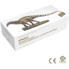 PNSO Dinozor Müzeleri Serisi-XiaoQin Lucio The Amargasaurus 1:35 Scientific Art Model