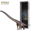 PNSO Dinozor Müzeleri Serisi-XiaoQin New ER-MA The Mamenchisaurus 1:45 Scientific Art Model